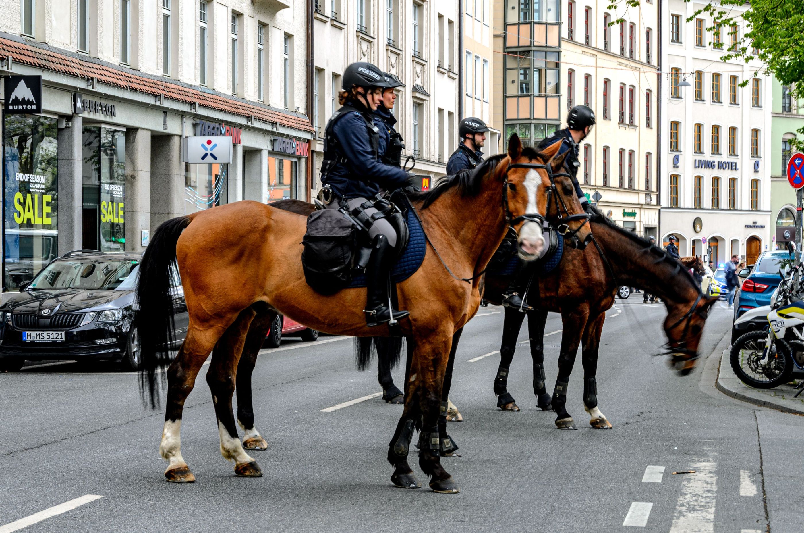 Polizei auf Pferden